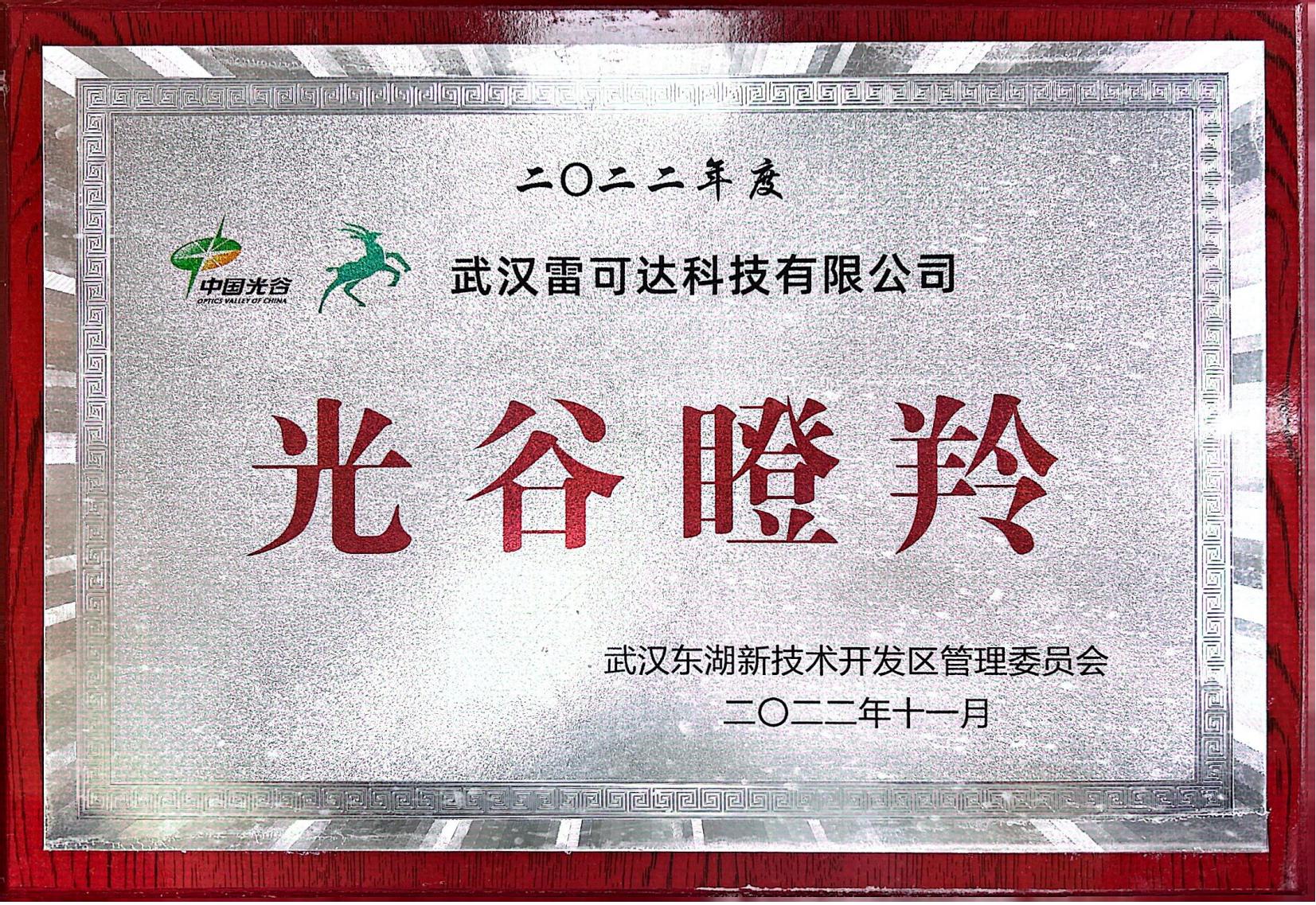 政府表彰奖项